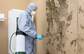 Best Mold Removal for HVAC Installations  in Mount Gilead, NC